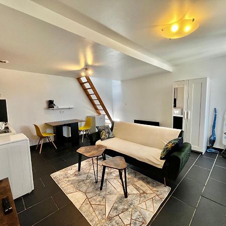 Studios Au Quartier Pavillonnaire Rue D Ambert Orléans Exteriör bild